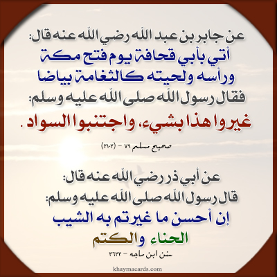 �������� ������ 